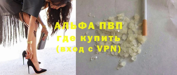 спайс Касимов