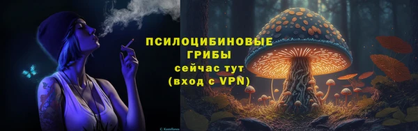 спайс Касимов