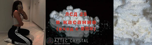 спайс Касимов